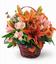 Sueppel's Flowers