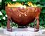 The Fire Pit Gallery