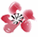 image for the product advertised