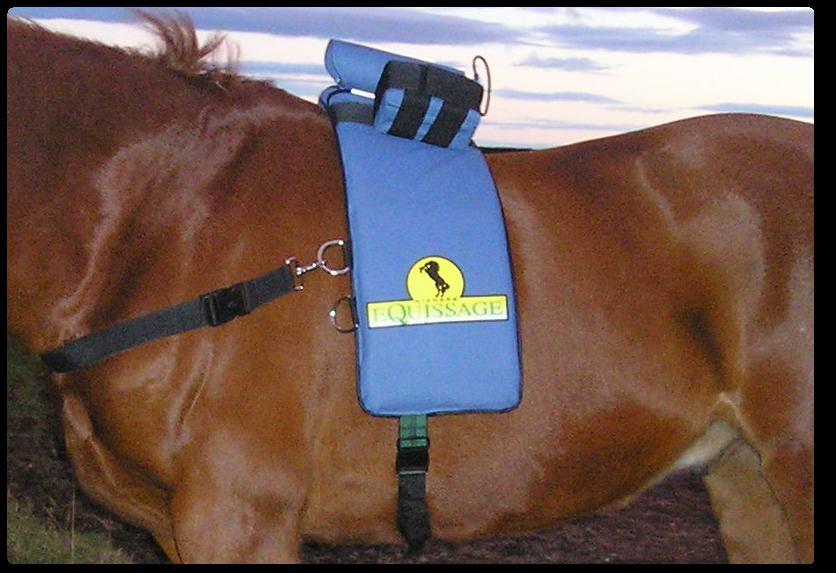 Always Healing Hands Massage, NW. Equissage Mt Vernon WA 98273 360