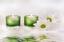 Green Maid Easy, LLC
