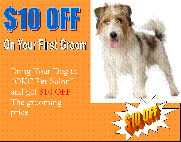 boarding okc okc pet salon boarding oklahoma city ok 73127 405 501 7354 boarding okc okc pet salon boarding oklahoma city ok 73127 405 501 7354