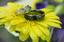 Provided by Expressions Flowers & Gifts, Holton 