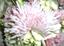 Provided by Expressions Flowers & Gifts, Holton 