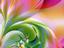 UNIVERSAL UNIONS©   ...Affordable Wedding Officiants...