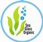 Sea Glass Organic