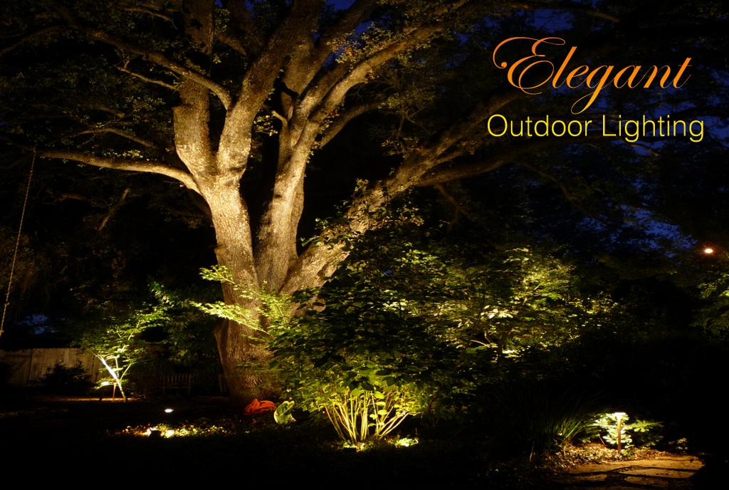 professional landscape lighting landscape lighting design professional install granite bay ca 95746 916 674 2921 professional landscape lighting landscape lighting design professional install granite bay ca 95746 916 674 2921
