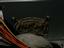Provided by Creative Computer Store, Kalama 