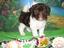 Provided by Jaco Kennel, Hulbert 