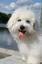 Provided by Jaco Kennel, Hulbert 