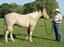 Provided by Yazoo Equine Training, Bentonia 