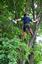Affordable Tree Service