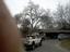 Provided by Ape Tree Service, Sacramento 