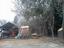 Provided by Ape Tree Service, Sacramento 