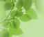 Stephen Willi Massage Therapy