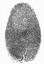 fingerprint-1.jpg