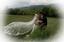 La Bren Photography