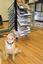 Nck Carpet Plus