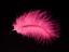 Provided by Ink n Lash by Stacy Lee @ Angelina Salon & Spa, Spokane 
