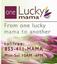 Provided by One Lucky Mama LLC, Riverton 