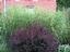 Provided by Mary's Garden, Hickory Corners 