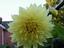 Provided by Mary's Garden, Hickory Corners 