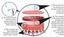 Provided by Vitamist Global, Vitamist Ltd. Oral Spray Vitamins, Minerals, Herbs, Portland 