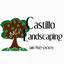 Castillo Landscaping