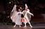 Provided by School of Russian Ballet, Bradenton 
