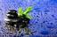 Breckenridge Bliss Massage Therapy