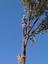 EarthCare Arboriculture