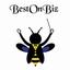 Provided by BestOnBiz - Best In Online Business Optimization, Oklahoma city, OKC 
