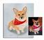 Pet Portraits by Cherie Vergos