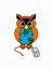 Search Owls 