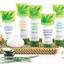 Provided by Chanel Diaz - Herbalife Independent Distributor, Methuen 