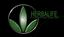 Chanel Diaz - Herbalife Independent Distributor