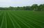 Provided by Somers Lawn Care and Tree Service, Somersville 