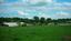 Provided by Holsman Stables, Kansas City 