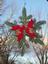 Provided by Wreath Makers, Plymouth 