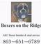 Provided by Boxers on the Ridge, Dundee 