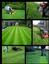 Matt's Lawn Care