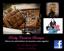 Rocky Creations Boutique & Coffee Bar