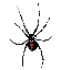 Provided by PestPRO, Magnolia 