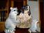 Provided by Evenstar Hounds, Ohatchee 