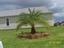 Provided by Southern Sensations Landscaping, Ocala 
