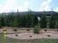Provided by Southern Sensations Landscaping, Ocala 