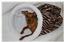 Provided by Pet Pizzaz, Owatonna 