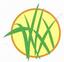 HP Lawn Service, LLC