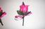 Provided by Monica's Basket Wedding, Events and Party Planning, Tulsa 