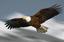 Provided by RAPTOR PARTNERS LLC, Pittsburgh 